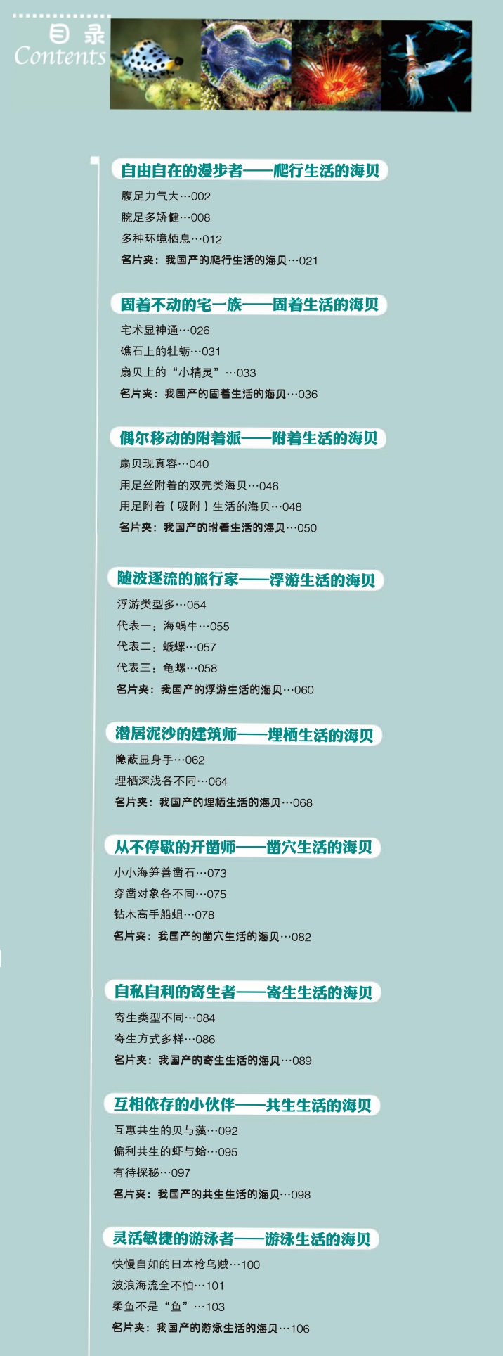 海贝生存术.jpg