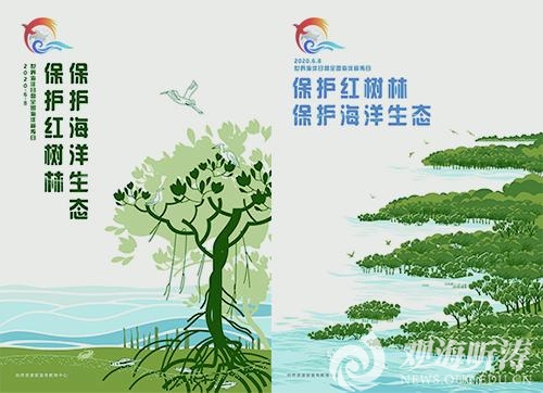 红树林.jpg